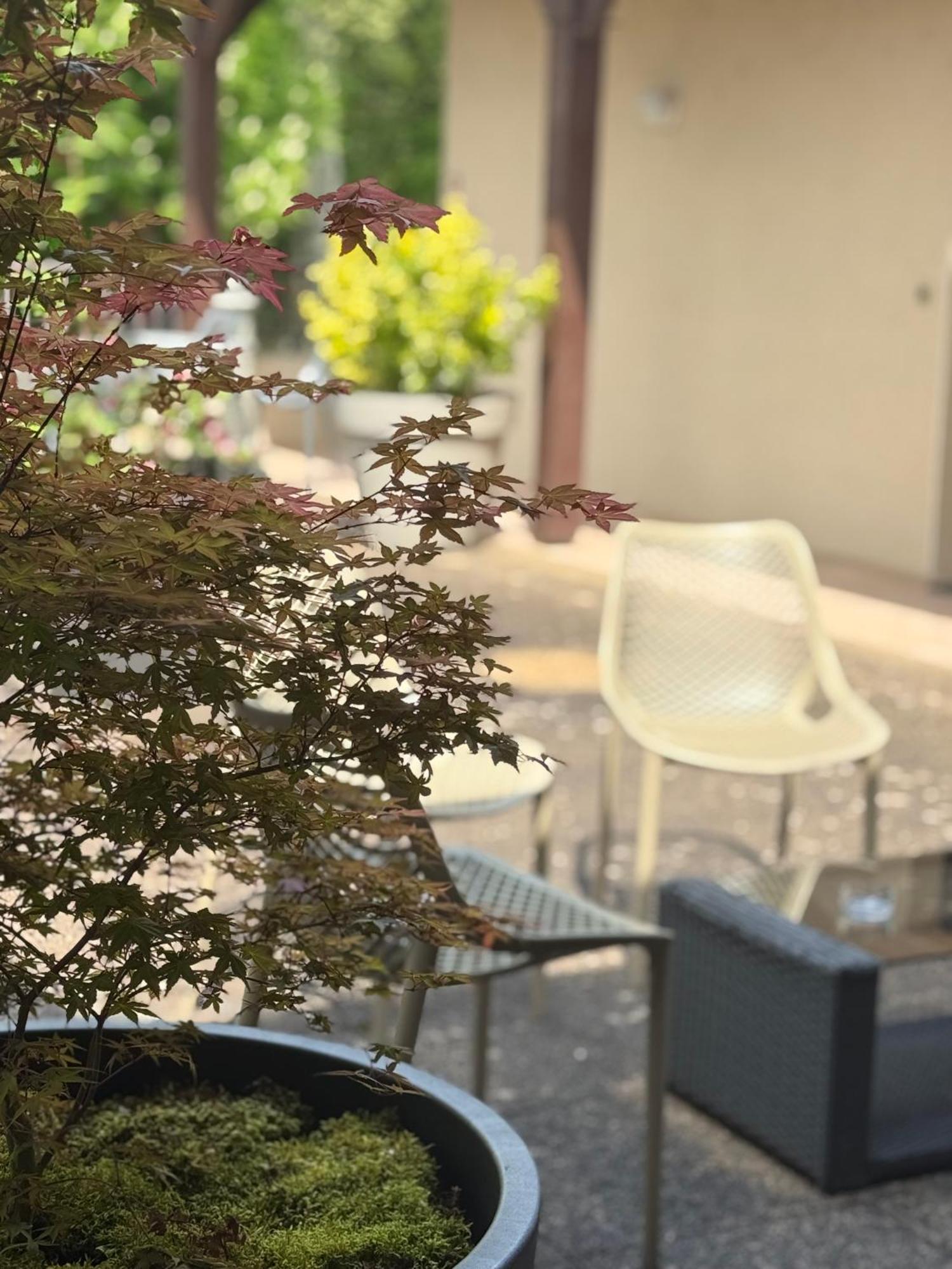 Hotel Le Victor Hugo - Et Restaurant - Logis Saint-Cere